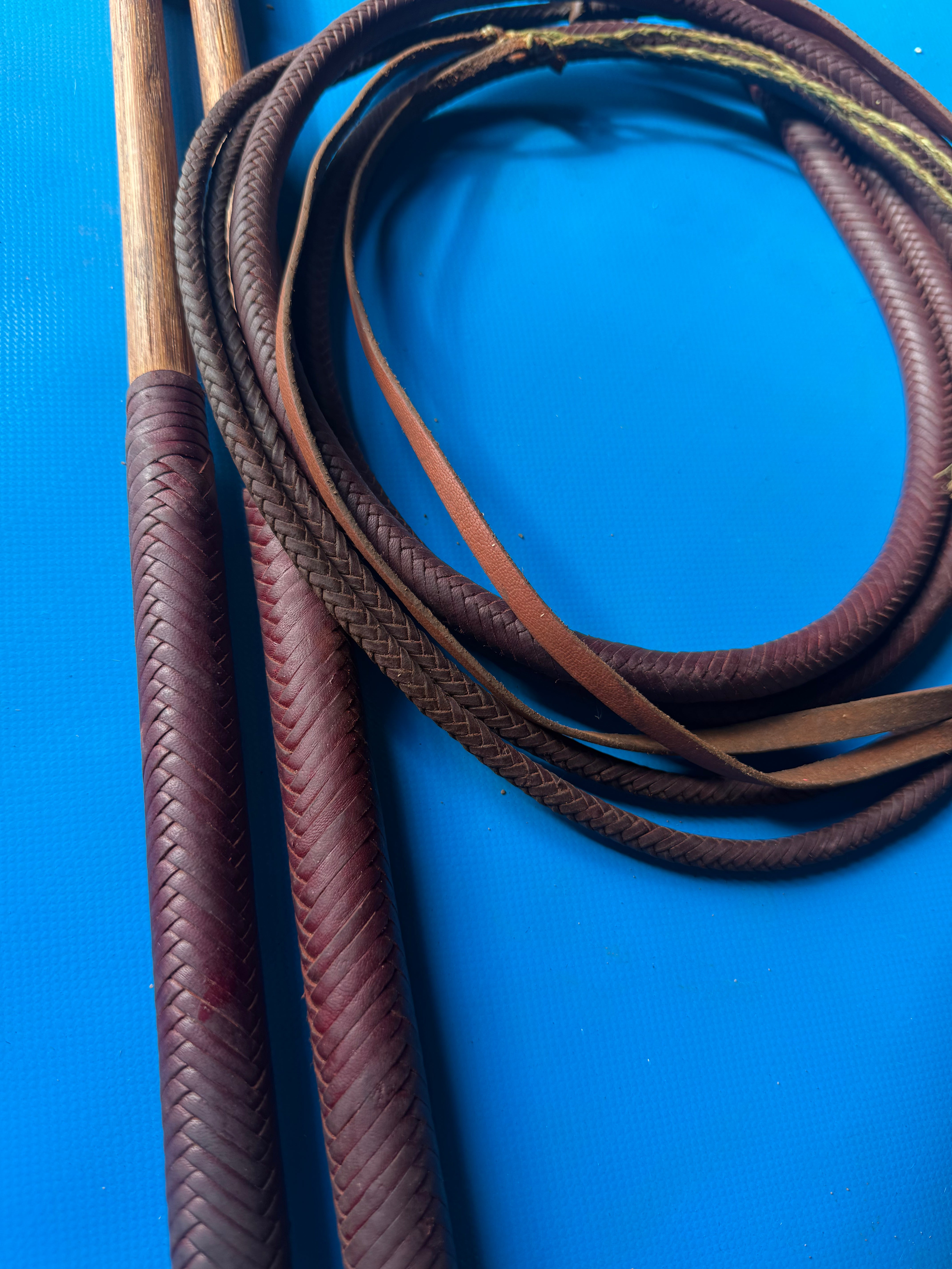 Pair of 16plait kangaroo 5ft whips