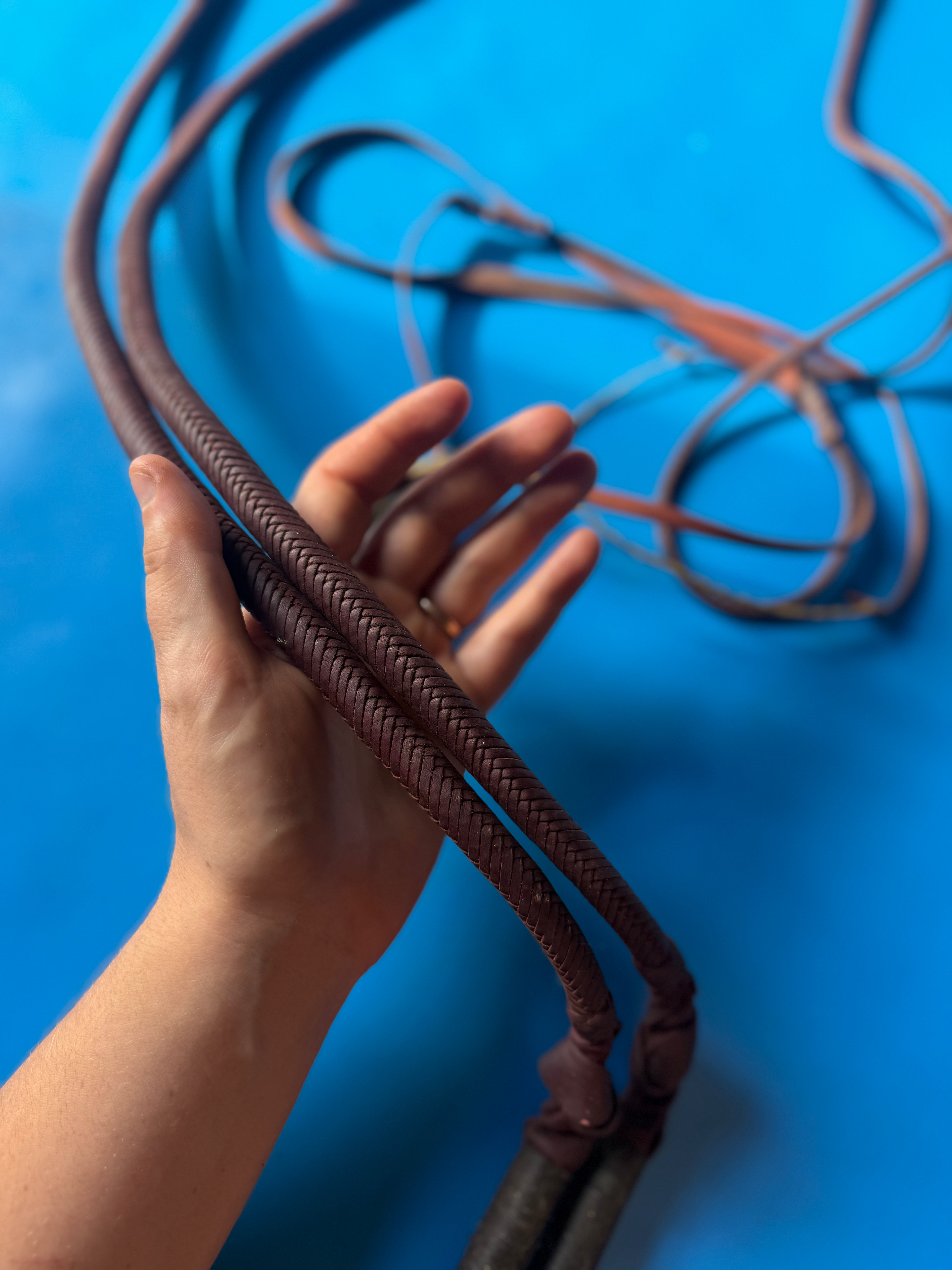 Pair of 16plait kangaroo 5ft whips
