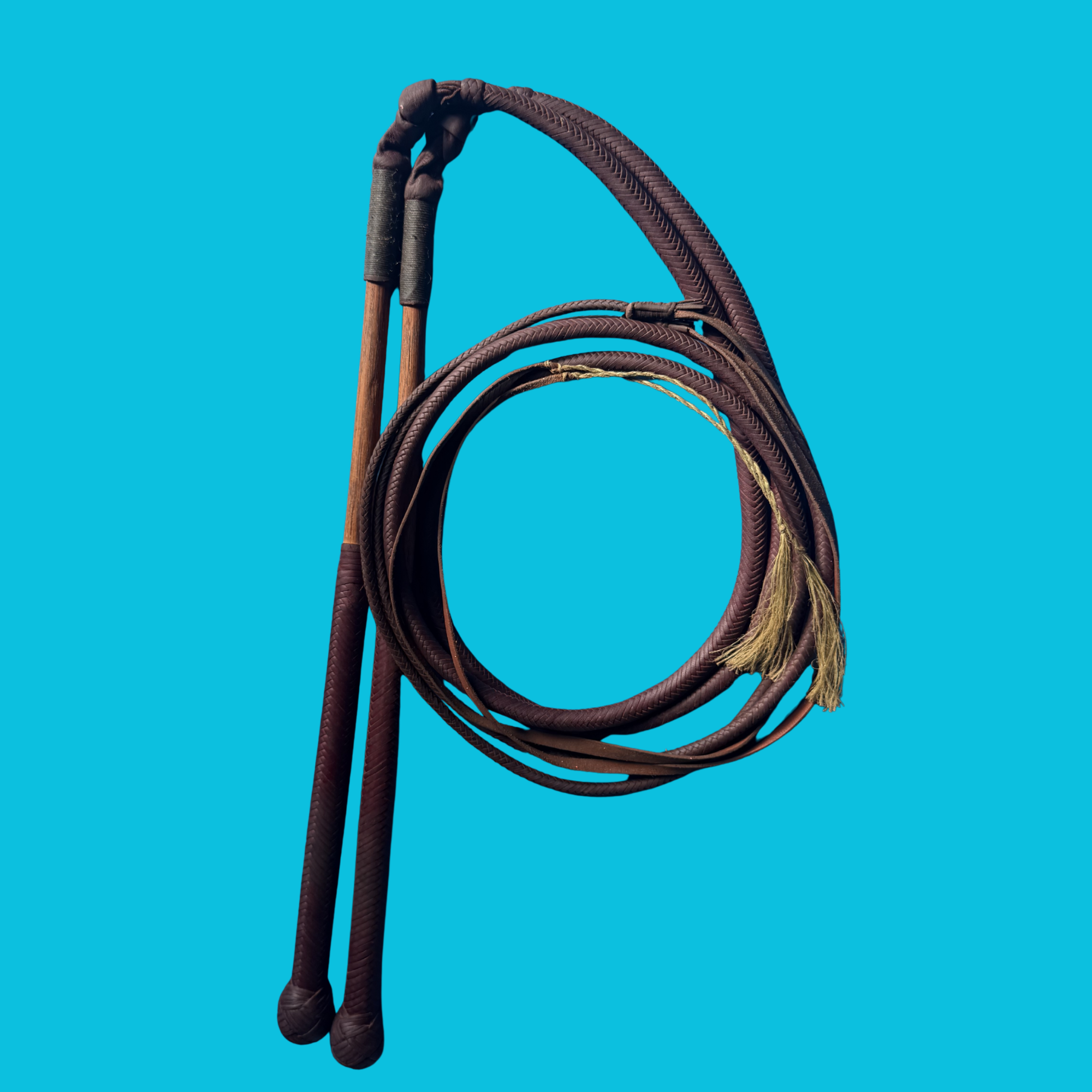 Pair of 16plait kangaroo 5ft whips